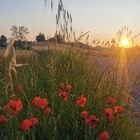 Bed and breakfast Il Nido D'amore - Colombaie Lorenzana